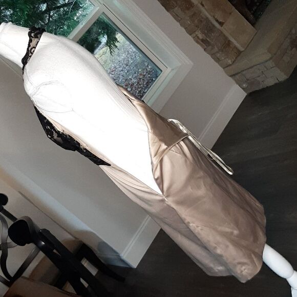 Max & Cleo New Open Back Zip Side Lined Lace Bodice Dress - Picture 8 of 15